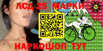 шишки Краснодар