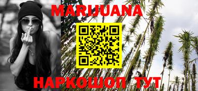 шишки Краснодар