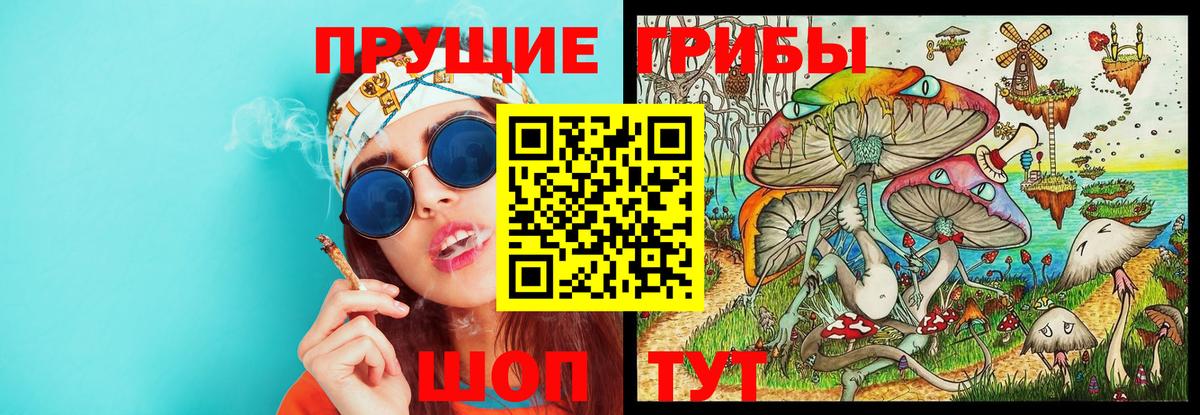 Галлюциногенные грибы Cubensis  Вход с VPN  Усолье-Сибирское 